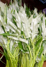 空芯菜(1kg)